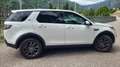Land Rover Discovery Sport Discovery Sport 2.2 td4 HSE AWD 150cv auto/tetto Bílá - thumbnail 5