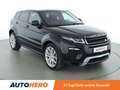 Land Rover Range Rover Evoque 2.0 Sd4 SE Dynamic Aut.*NAVI*360°*PDC*SHZ*LHZ* Grau - thumbnail 8