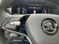 Skoda Kodiaq L&K 4x4 2.0 TDI Navi DigiCock 360 Kamera Blau - thumbnail 22