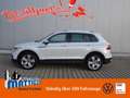 Volkswagen Tiguan 2.0 TDI DSG Elegance AHK/MATRIX/19-ZOLL/NAVI-PRO/ Weiß - thumbnail 1