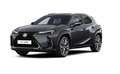 Lexus UX 300e UX 300 h F Sport Design Matrix+ACC+LED+Navi Grijs - thumbnail 2