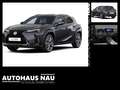Lexus UX 300e UX 300 h F Sport Design Matrix+ACC+LED+Navi Grijs - thumbnail 1