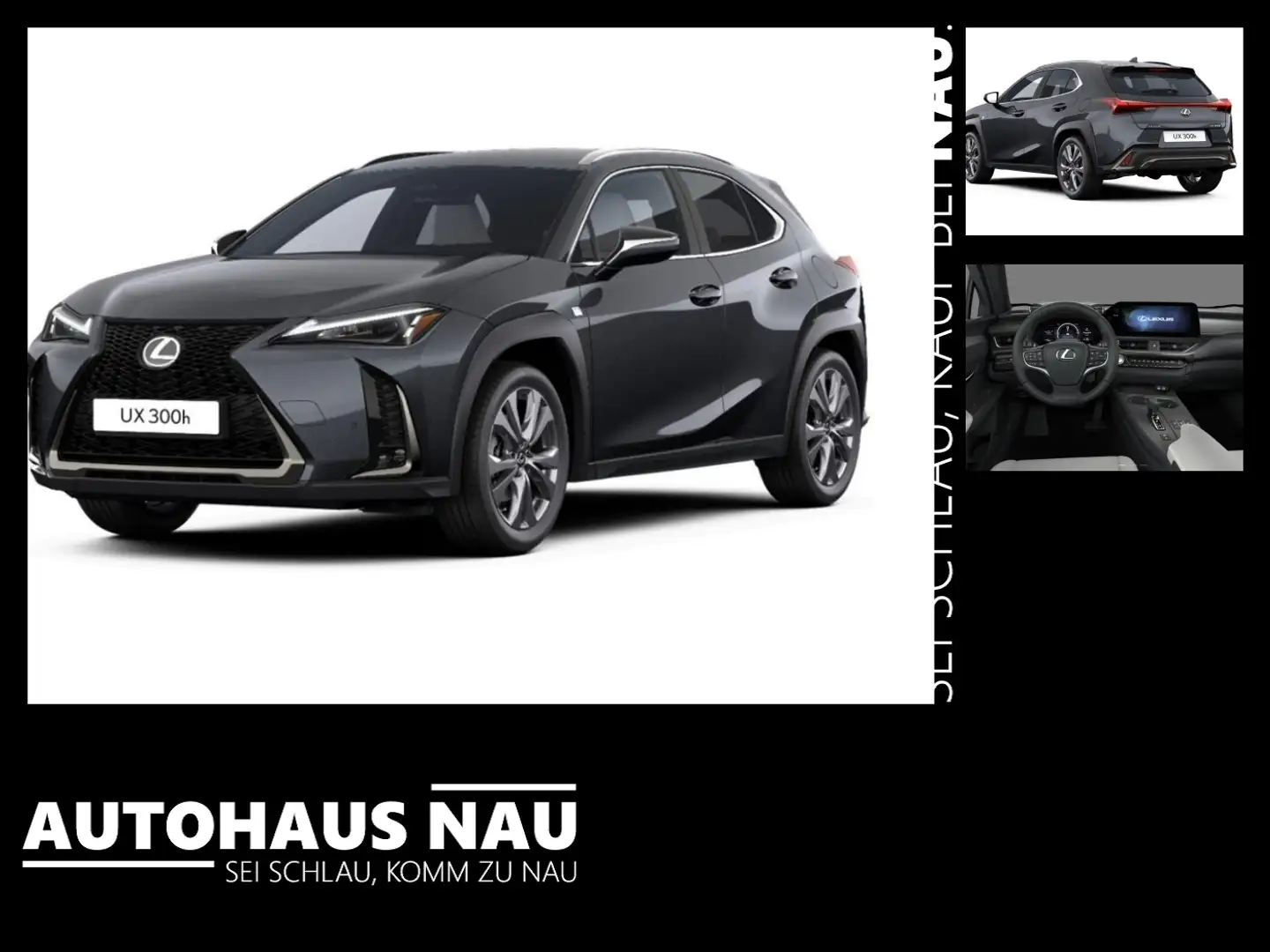 Lexus UX 300e UX 300 h F Sport Design Matrix+ACC+LED+Navi Grijs - 1