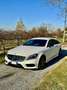 Mercedes-Benz CLS 250 Shooting Brake d Premium Force 4matic auto Bianco - thumbnail 6