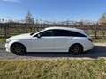 Mercedes-Benz CLS 250 Shooting Brake d Premium Force 4matic auto Bianco - thumbnail 4