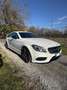 Mercedes-Benz CLS 250 Shooting Brake d Premium Force 4matic auto Bianco - thumbnail 1