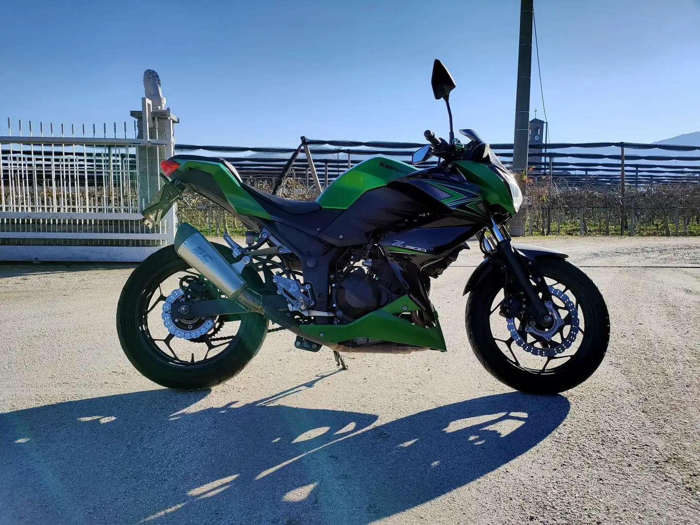 Kawasaki Z 300 ABS Vert - 2