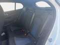 BMW 118 118dA Business Blanco - thumbnail 9