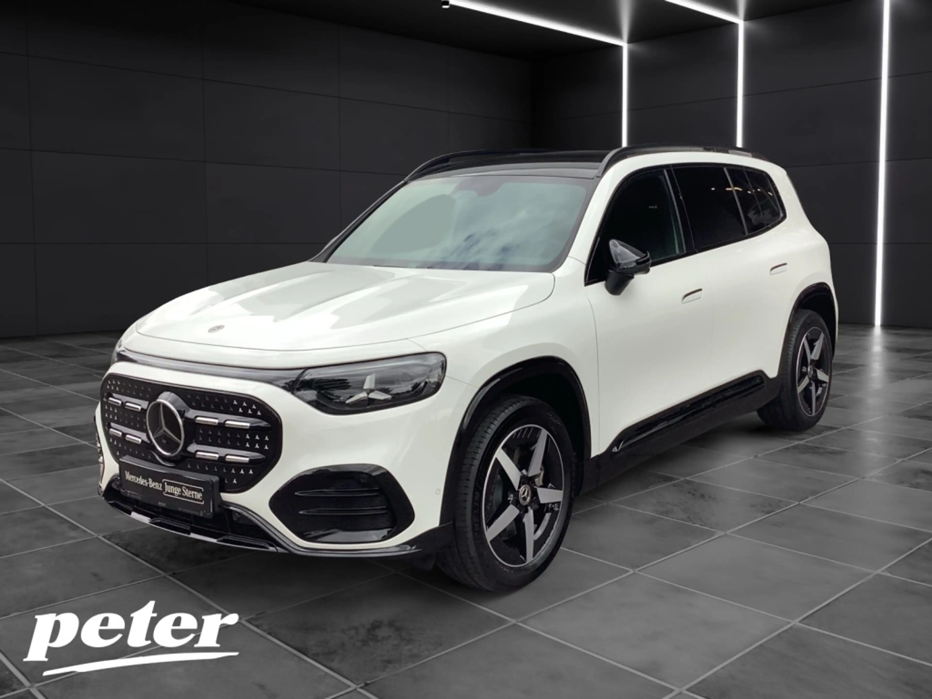 Mercedes-Benz GLB 250 + EQ Technologie +AMGLINE+19"AMGLMR+LED+