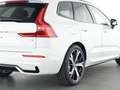 Volvo XC60+T8+AWD+GT+Lenkrad,-Standhg+360°Kam+AHKsemi+ Blanc - thumbnail 13