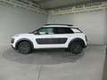 Citroen C4 Cactus 1,2 VTI82 Shine *Tempomat *Rückfahrkamera *LED-... Weiß - thumbnail 3