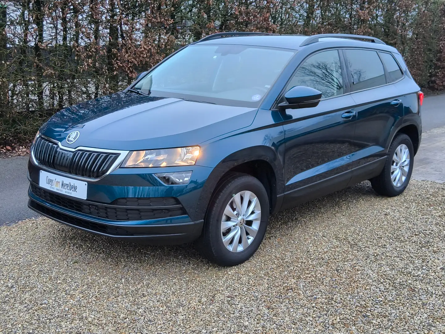 Skoda Karoq Karoq 1.0 TSI met GARANTIE Bleu - 1