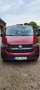 Volkswagen T6 Multivan Rot - thumbnail 1
