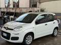 Fiat Panda 1.2 Easy Biały - thumbnail 2