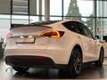 Tesla Model Y Performance Dual Motor AWD Enh.Autopilot Bianco - thumbnail 6