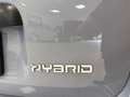 Fiat Panda III 2021 1.0 firefly hybrid City Life s&s 70cv 5p Grigio - thumbnail 9