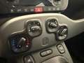 Fiat Panda III 2021 1.0 firefly hybrid City Life s&s 70cv 5p Grigio - thumbnail 17