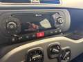 Fiat Panda III 2021 1.0 firefly hybrid City Life s&s 70cv 5p Grigio - thumbnail 16