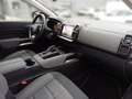 Citroen C5 Aircross PT 130 Business Shine Automatik Weiß - thumbnail 12
