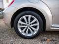Volkswagen Beetle Lim. 1.2 TSI Design PDC SHZ XENON NAVI Gümüş rengi - thumbnail 5