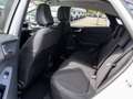 Ford Puma Hybrid Titanium 5Jahre+Winter+Navi+virtCP+Kamera+P Bianco - thumbnail 15