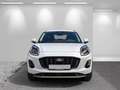Ford Puma Hybrid Titanium 5Jahre+Winter+Navi+virtCP+Kamera+P Bianco - thumbnail 7