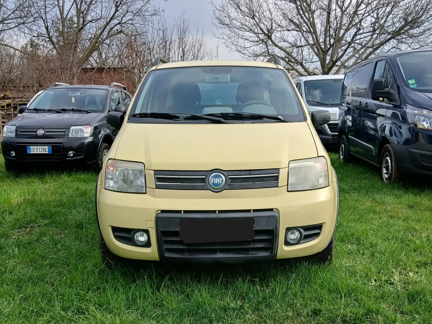 Fiat Panda 4x4 Gialla Giallo - 1