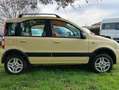 Fiat Panda 4x4 Gialla Giallo - thumbnail 6