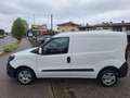 Fiat Doblo Doblò 1.6 MJT 105CV PC-TN Cargo  SX  N°FX021 Weiß - thumbnail 15