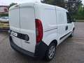 Fiat Doblo Doblò 1.6 MJT 105CV PC-TN Cargo  SX  N°FX021 Weiß - thumbnail 12