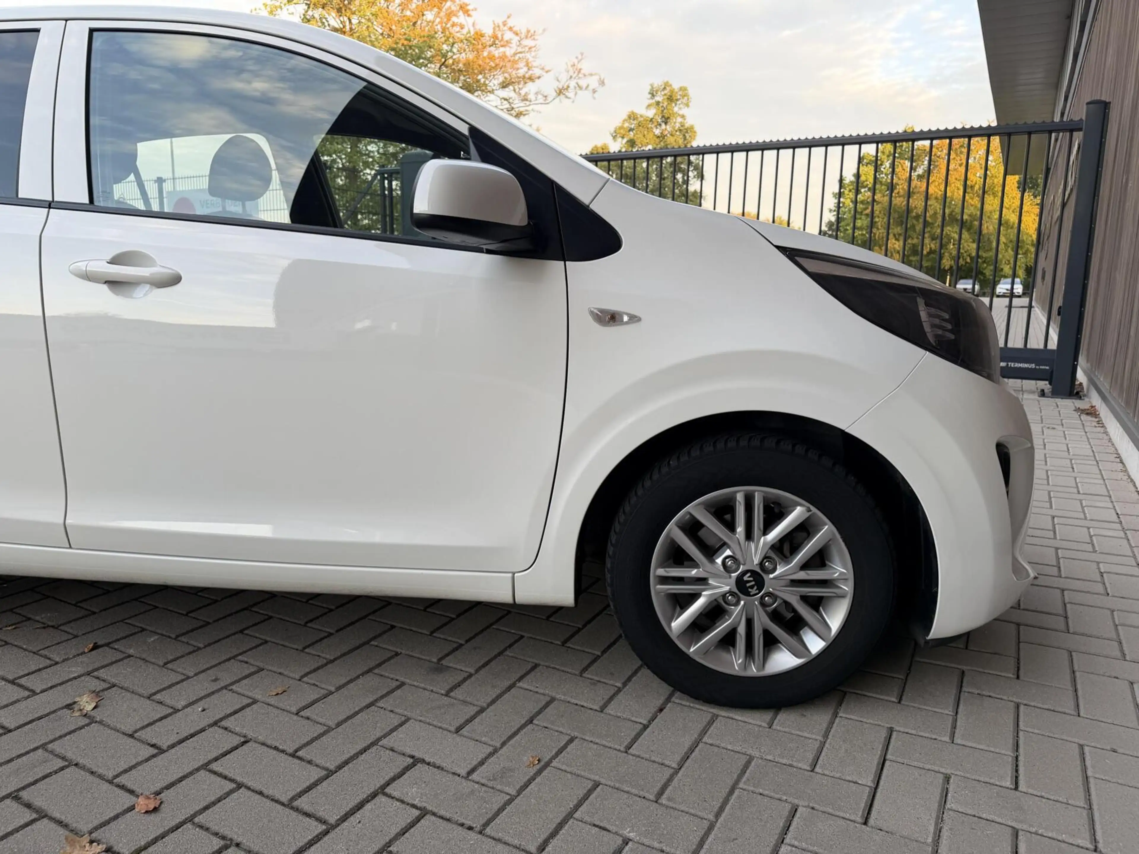 Kia Picanto 1.2 CVVT DynamicPlusLine | CAMERA | STOEL/STUURVER — photo 8