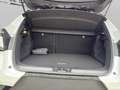 Renault Captur Captur 1.0 eco-g Techno 100cv Blanc - thumbnail 10