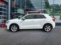 Audi Q2 1.5 TSI SPORT PANO-DAK/TREKHAAK/NAVI/PDC/CRUISE/ST Wit - thumbnail 8
