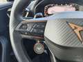 CUPRA Formentor VZ 2.0 TSI DSG 4Drive *Beats, Pano, Full Link* Grün - thumbnail 12