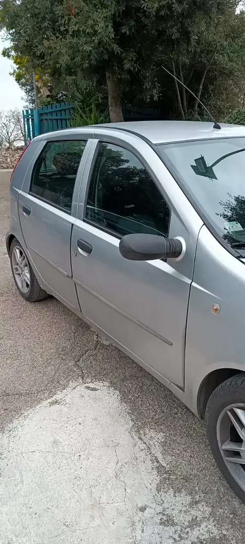 Fiat Punto Punto 5p 1.2 natural power Classic Active Grigio - 2