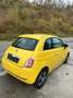 Fiat 500 1.3 Multijet export turbo cassé !!!!!!!!! - thumbnail 3