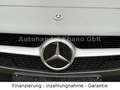 Mercedes-Benz A 220 A A 220 d PANORAMA-BURMESTER-CARBON Gris - thumbnail 21