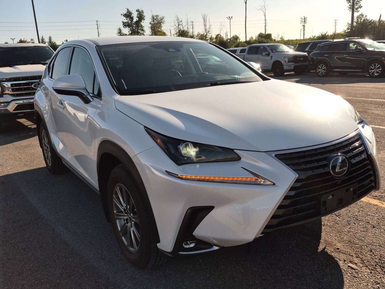 2020 Lexus Nx
