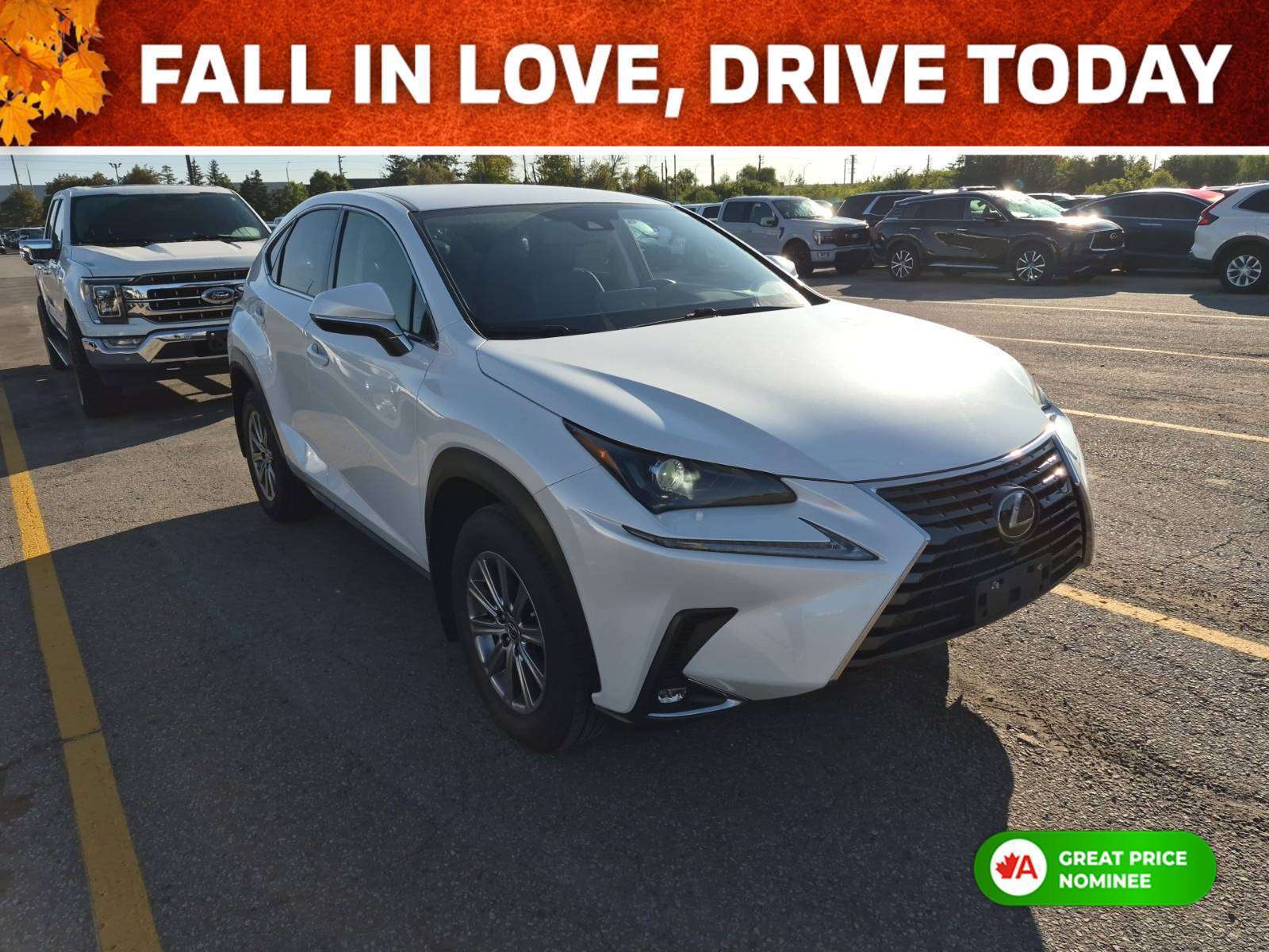 2020 Lexus Nx