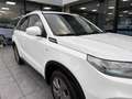Suzuki Vitara Vitara 1.4 Hybrid Top Weiß - thumbnail 10