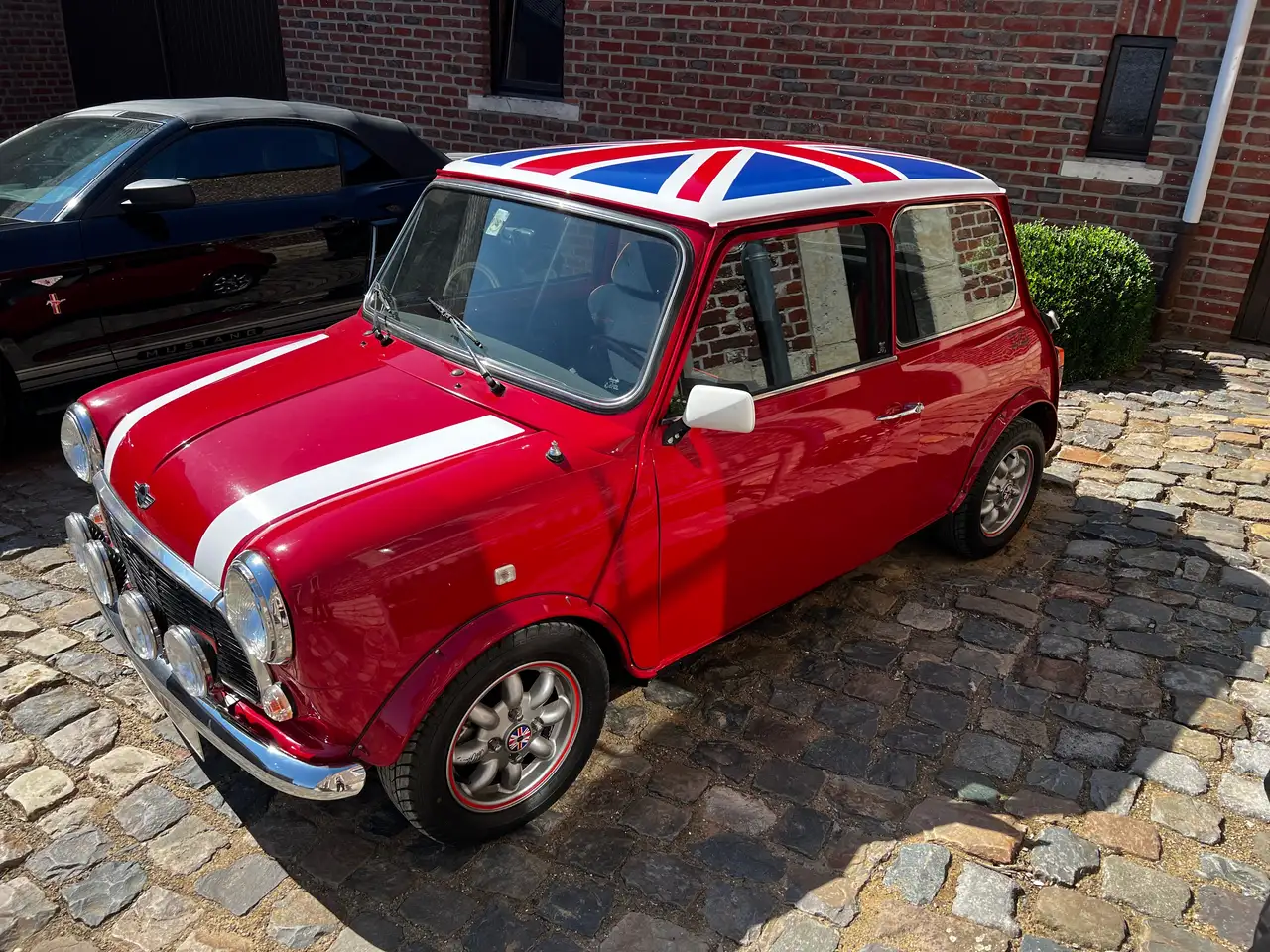 MINI 1000 Red Hot, foto 3