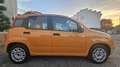 Fiat Panda Panda III 2016 1.2 Easy easypower Gpl 69cv my19 Arancione - thumbnail 4