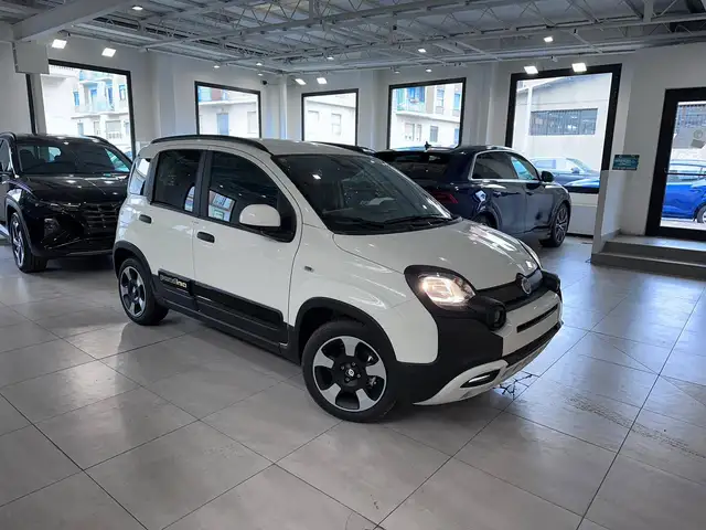Fiat Panda view 2