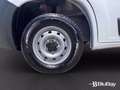 Fiat Ducato 33 2.2 Mjt 140CV PM-TN Furgone Blanc - thumbnail 12