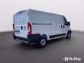 Fiat Ducato 33 2.2 Mjt 140CV PM-TN Furgone Blanc - thumbnail 9