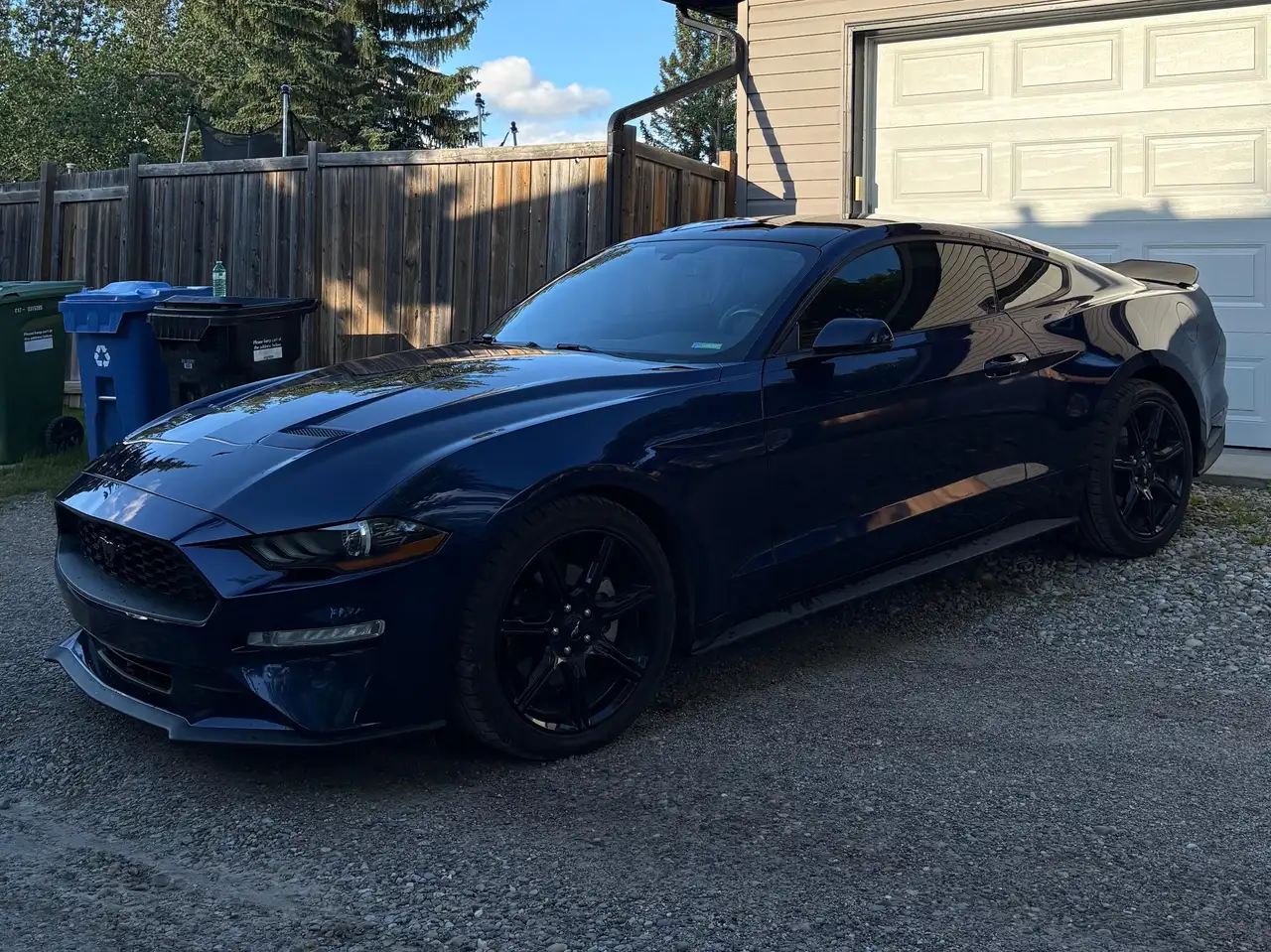 2019 Ford Mustang