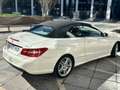 Mercedes-Benz E 350 E Cabrio 350CDI BE 7G Plus (9.75) Blanco - thumbnail 5