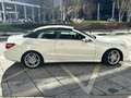Mercedes-Benz E 350 E Cabrio 350CDI BE 7G Plus (9.75) Blanco - thumbnail 12