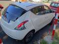 Lancia Ypsilon Ypsilon III 2021 1.0 firefly hybrid Gold Plus s Bianco - thumbnail 2