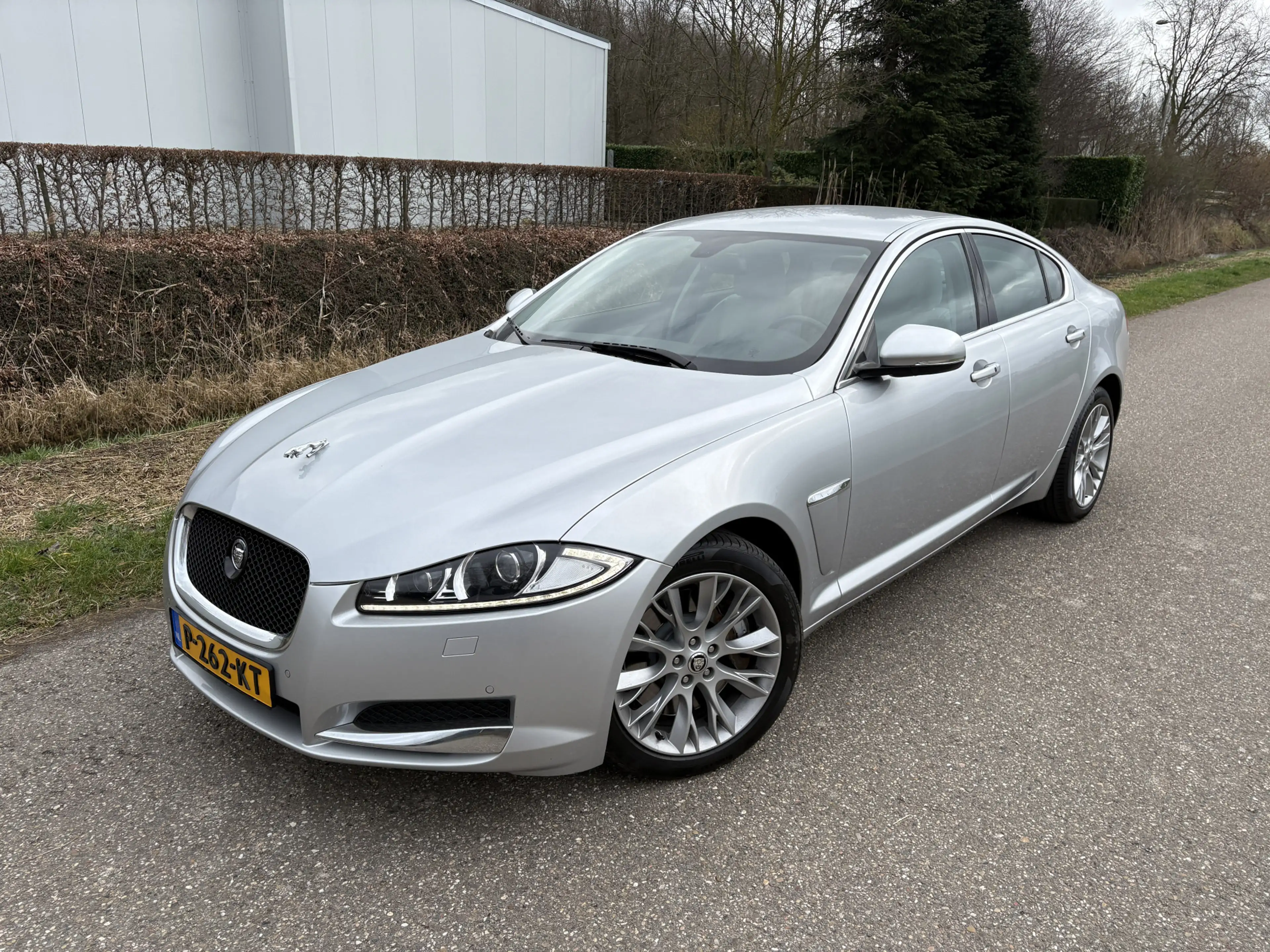 Jaguar XF 3.0D S Premium Business Edition / AUTOMAAT / NAVI — photo 2